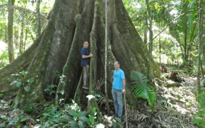 Biodiversité et agronégoce