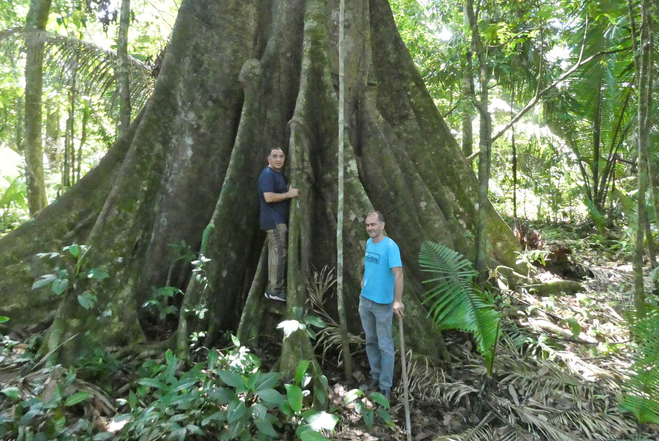 Biodiversité et agronégoce
