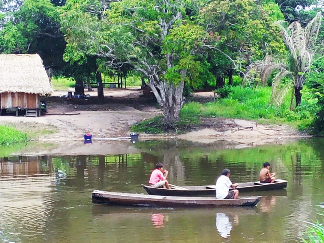 Une invasion sans précédent sur des terres indigènes du Rondônia