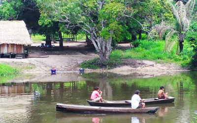 Une invasion sans précédent sur des terres indigènes du Rondônia